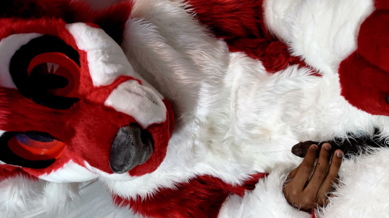 PawgrammerSocks: Furry in Full-body Fursuit Pisses on You, Then Cums Over...