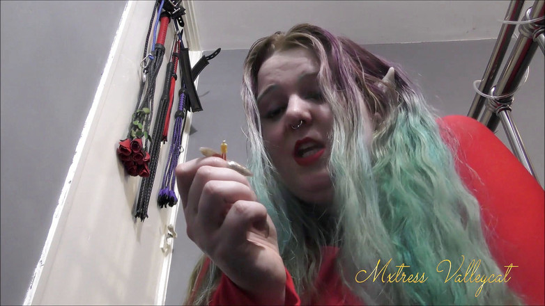 Mxtress Valleycat: 50피트 여만의 돌격