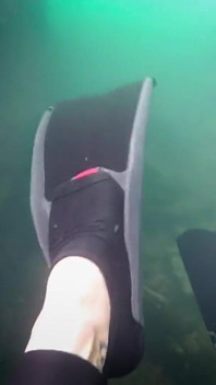 Diving in My Shiny Two-piece Wetsuit