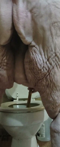 Ja meneer, ik zal uw toilet stoppen, maar kijk wat ik doe met deze vervelende plundger