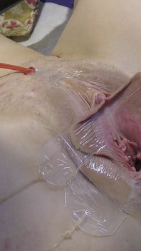 3 Lecca Vagina Allargata Lontano Da Molto Vicino
