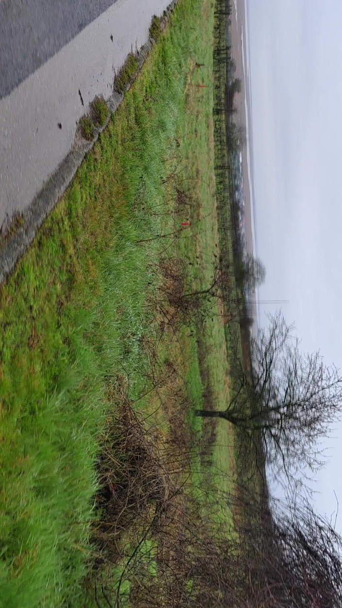 Bayer911: Outdoor-pisse im regen