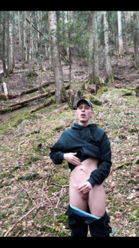 In the Forest