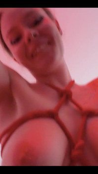 Happy Valentine's Day!