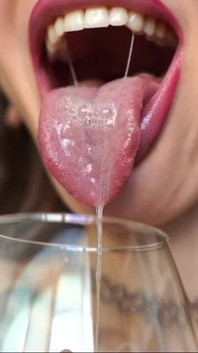 Drool Collector