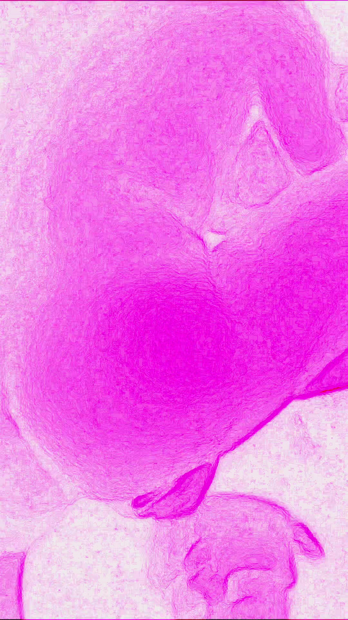 Lily & Theo: Un incontro sessuale è questione di gioia, così intenso e selvaggio...