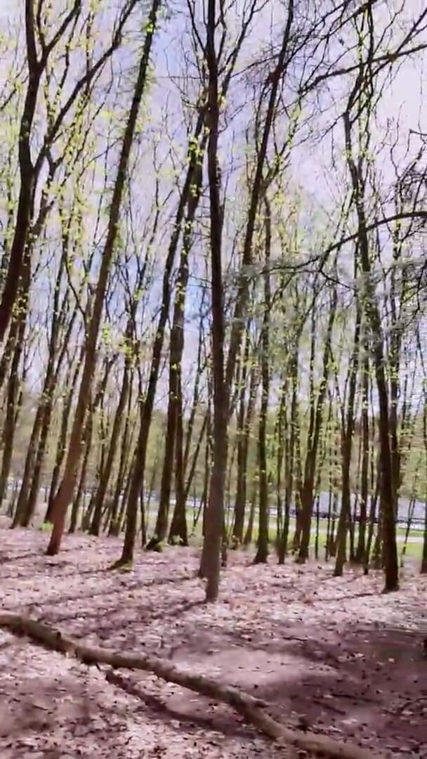 Slutboyben: Slutboyben cam4 сексуальна крейсерська краля iii