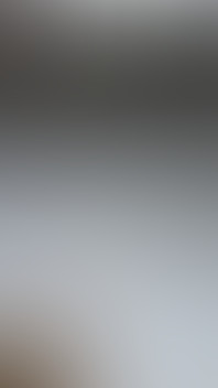 Dray Slave on the Ice