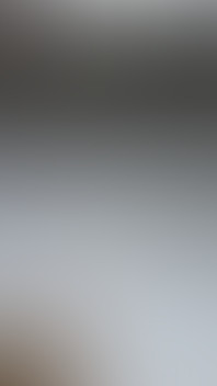 Dray Slave on the Ice