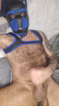 Pup Talking Dirty to You