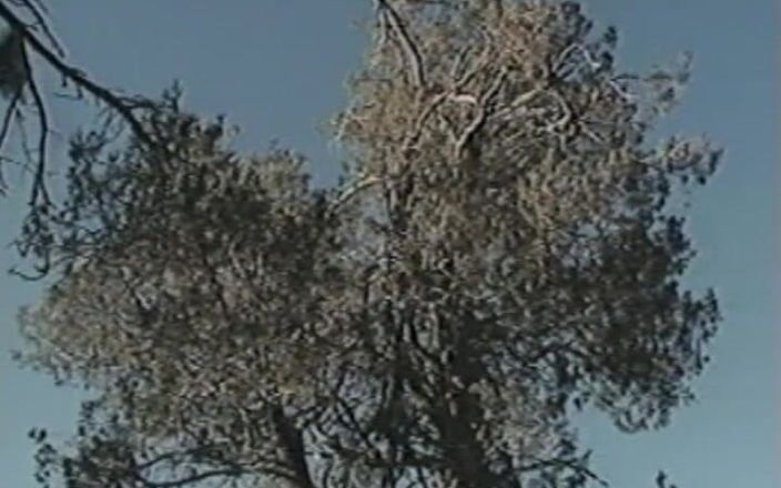 Gay RetroX VHS: Гарячі чоловіки в обіймах No5