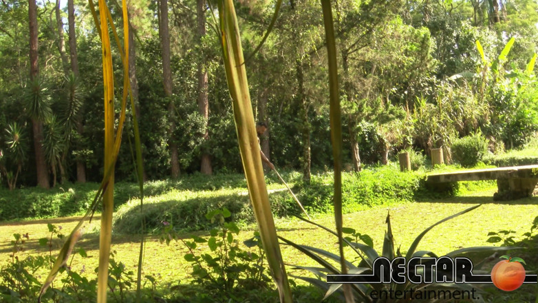 Nectar Entertainment: Vinny Burgos Baise Sa Belle-mère Dans Le Jardin! Un Coup...