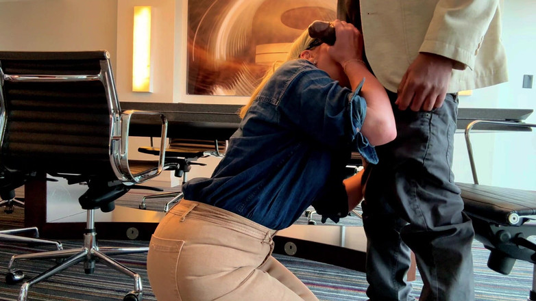 Flight Attendant Fiona: Fa Fiona spotyka pasażera w jego sali konferencyjnej