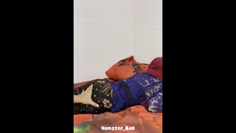 Hamster_Ball: किसी और की पत्नी को धोखा दे रहा हूं जिसे मैंने घर आने के बाद घर आमंत्रित किया