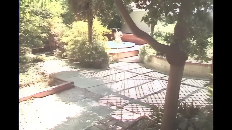 Old PIGS XXX: Zwanger heeft alleen seks