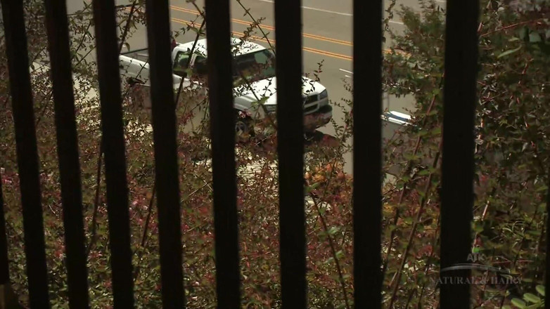 Classic ATK Premium: Интервью Tara Lynn Foxx