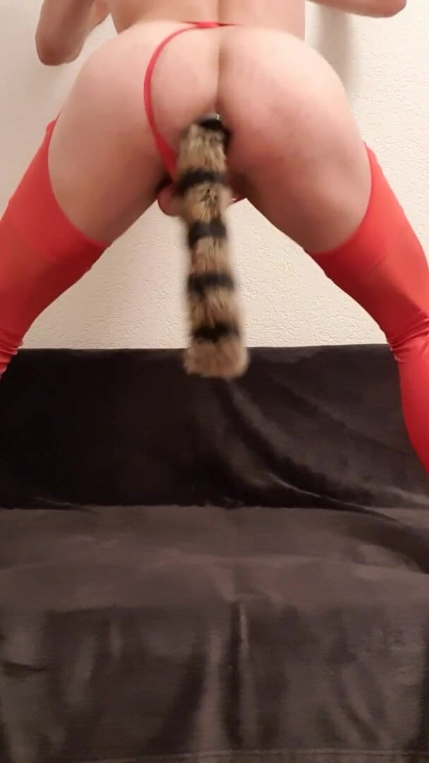 Timmyboy: Plug Fox Tail dans mon trou du cul