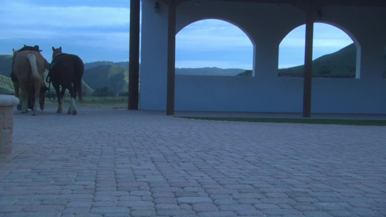 Worldwide Sex Movies: Western Meadow Sex - kręcona blondynka w pończochach zerżnięta na pieska...