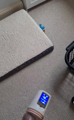 Amadeus: Pompe à l’heure du déjeuner