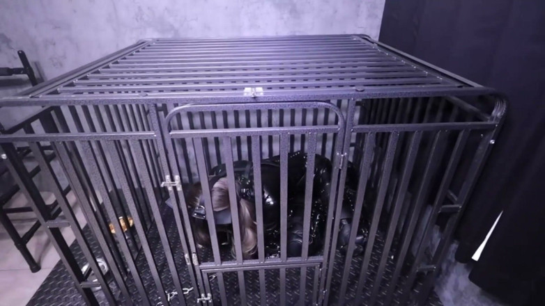 Aisan girl bondage: The Puppy Girlfriend Kept in a Cage Is on Her...
