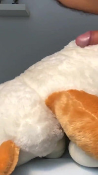 Teddy orgasmus ráno sprosté rozhovory sólo cum