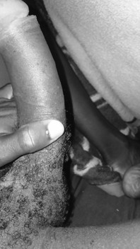 Black Uncut Dick