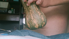 Lovvetoyy: Abóbora E Pepino