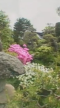Xv-151: Utang (subtitle bahasa Inggris oleh Erojapanese)