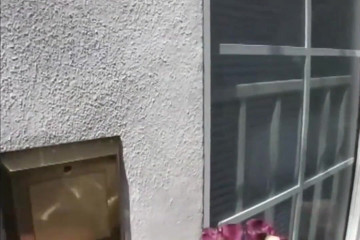 American Idol X: Горячую шлюшку трахнули в День Святого Валентина