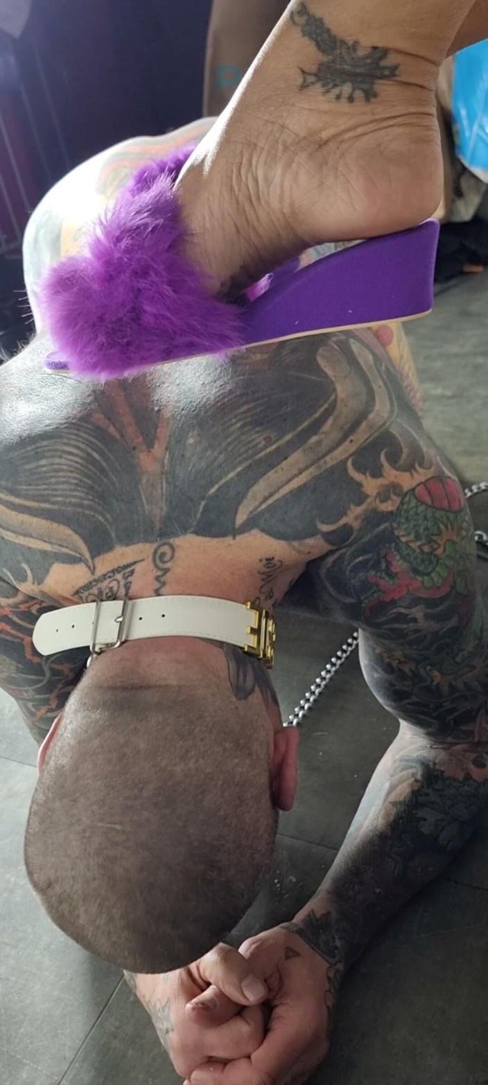 MiLadySaintLawrence: Under My Feet Slave and Worshi My Foot