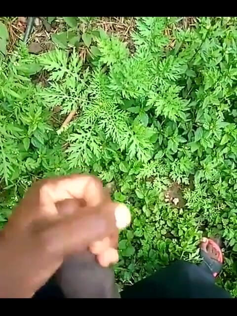 Haydenbbc: Haydenbbc