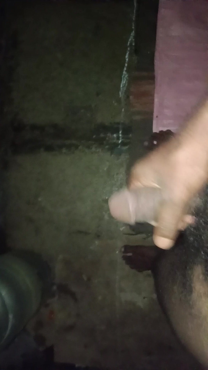 Daddycum: Tărâmul Catargului și Marea