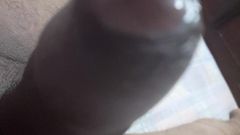 Viraj stud boy: Indický hřebec Viraj Boy Penis pro krásnou holku a roztomilou...