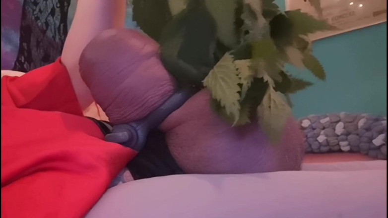 Monster_Meat_: Nettles drive me crazy