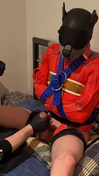 Une chatte se fait baiser par une camisole de force et se fait baiser