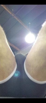 Getting Those Squats in...