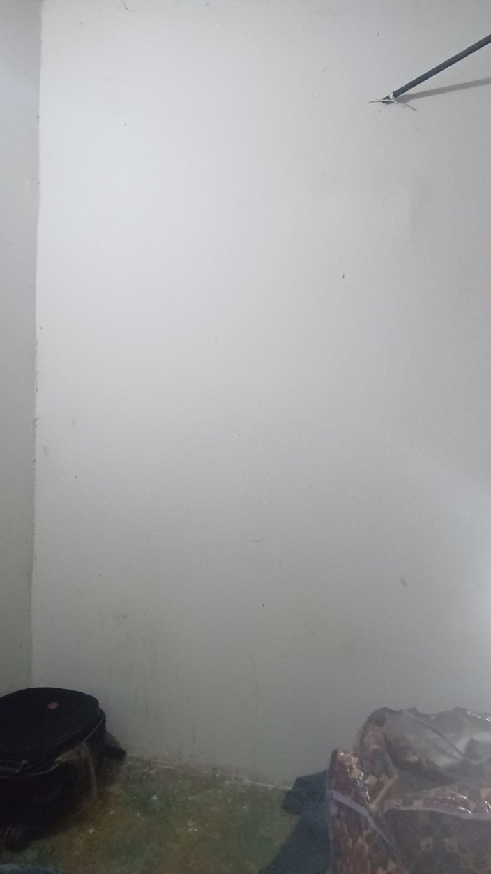 Femboy from Colombia: Acești hormoni sunt toți damdola
