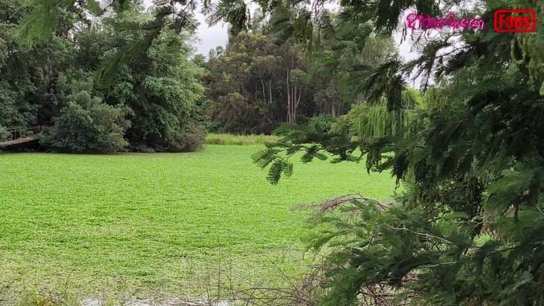 Riderqueen: Трах с молодым мужчиной, с большим членом, Видео для моих поклонников