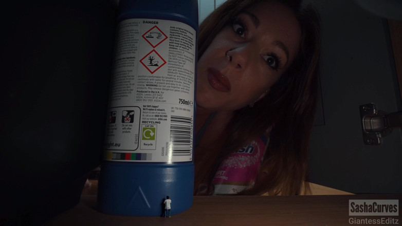 Sasha Curves: The Giantess and the Plumber