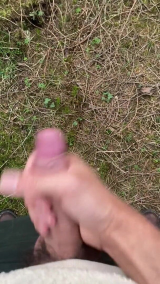 Zaharia: Komm im wald