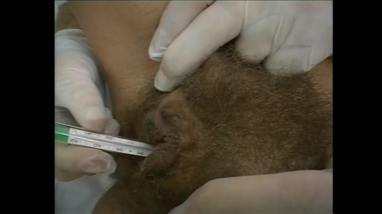 Lady Mesmeratrix Official: マンコの背骨豚