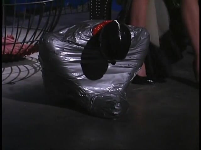 Tirrany Girls: Ama hace que sus nuevos esclavos trabajen por su cariño