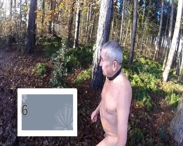 Andy: 웰링턴 인 더 우즈
