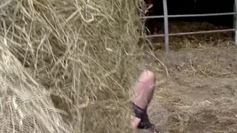 섹스를 위해 여자를 찾는 돼지 농부의 엉망