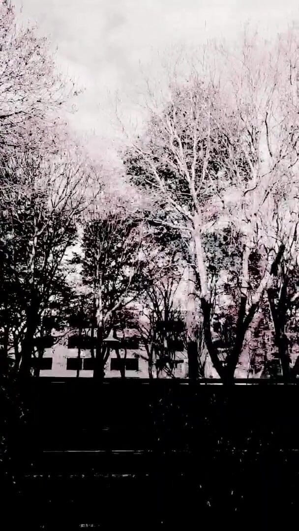 Slutboyben: Slutboyben Cam4 Nympho Cock Cum