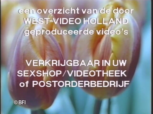 Naughty by nature in Holland: Made in Holland 7 DVD