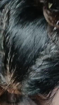 Granne Bhabhi vill ha min sperma i munnen