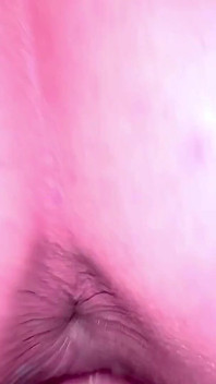 Fat Ass White Girl with a Fat Pussy Gets Creampied