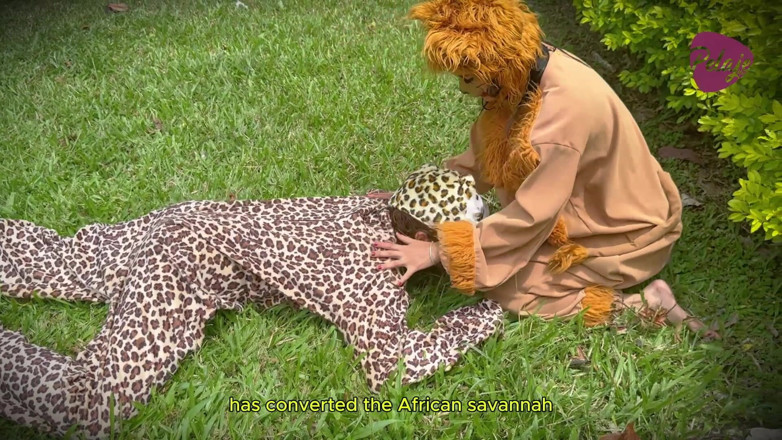 Pelaje mix: Natgio Mix: O Jogo Sexual do Leão Selvagem e do...