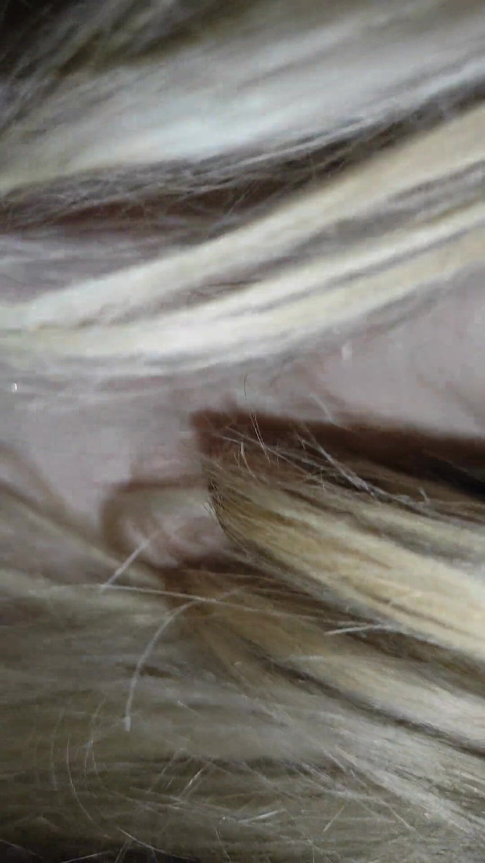 Taboo Room: Adik-beradik Tiri Mengambilnya Dengan Perintah Melancap Dari Adik Tiri - Tabooroom